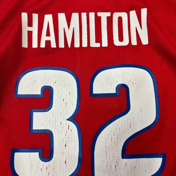 L (Y) NBA Pistons Hamilton Jersey - Picture 6 of 6